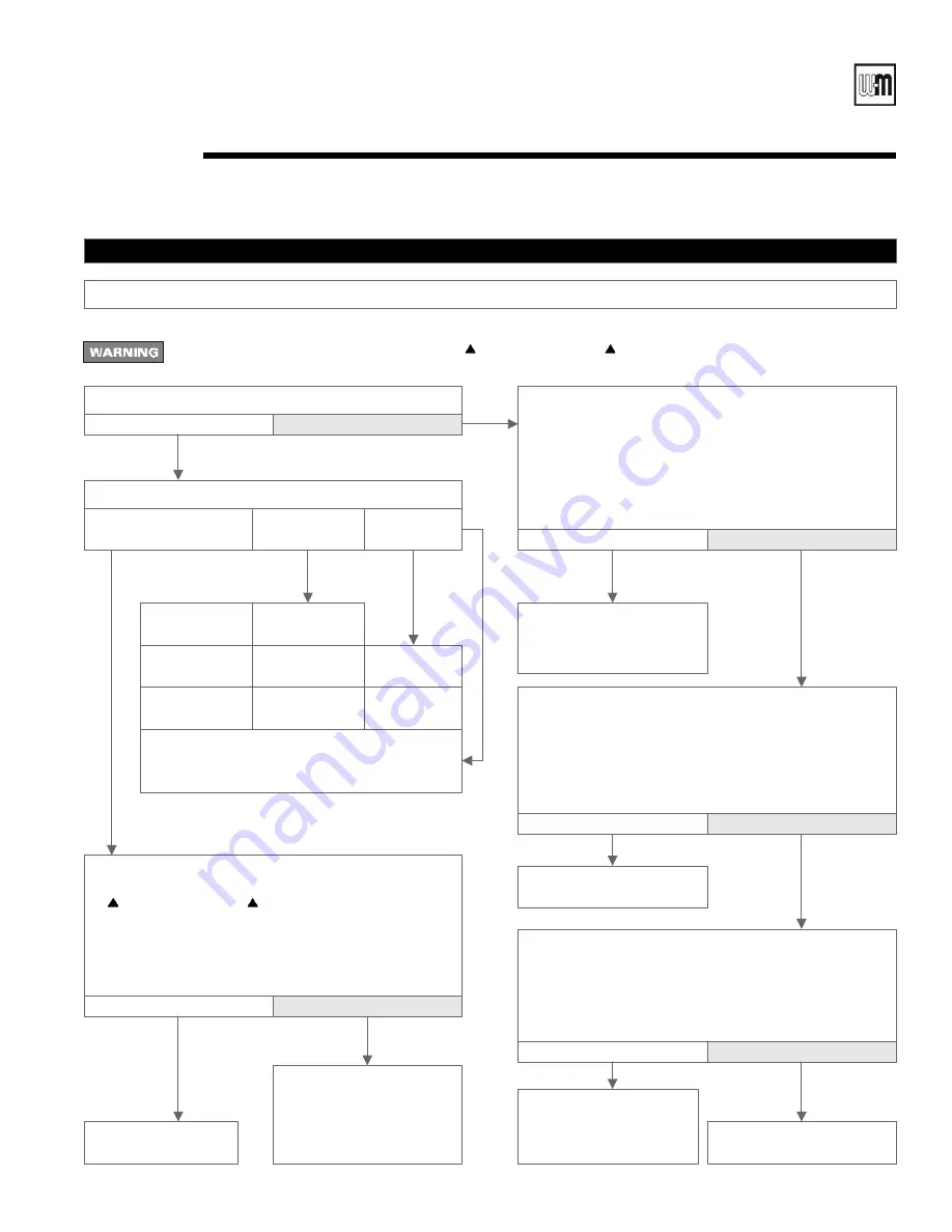 Weil-McLain GOLD CGt SERIES Manual Download Page 49