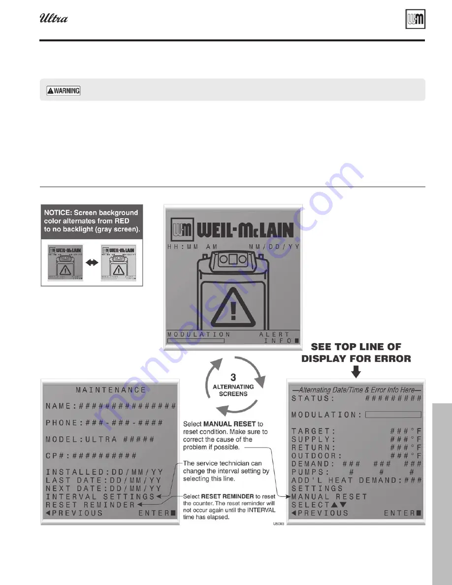 Weil-McLain Gold Plus 40 User Manual Download Page 101