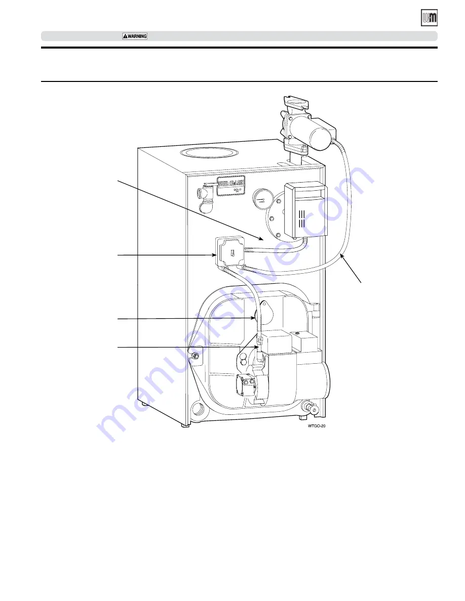 Weil-McLain Gold WTGO-2 Installation And Start-Up Manual Download Page 25