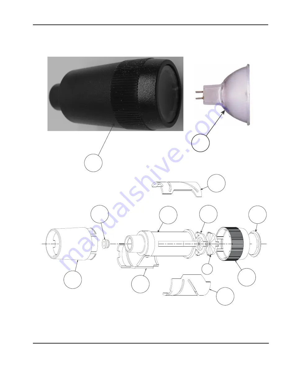 Welch Allyn Exam Light III Скачать руководство пользователя страница 33