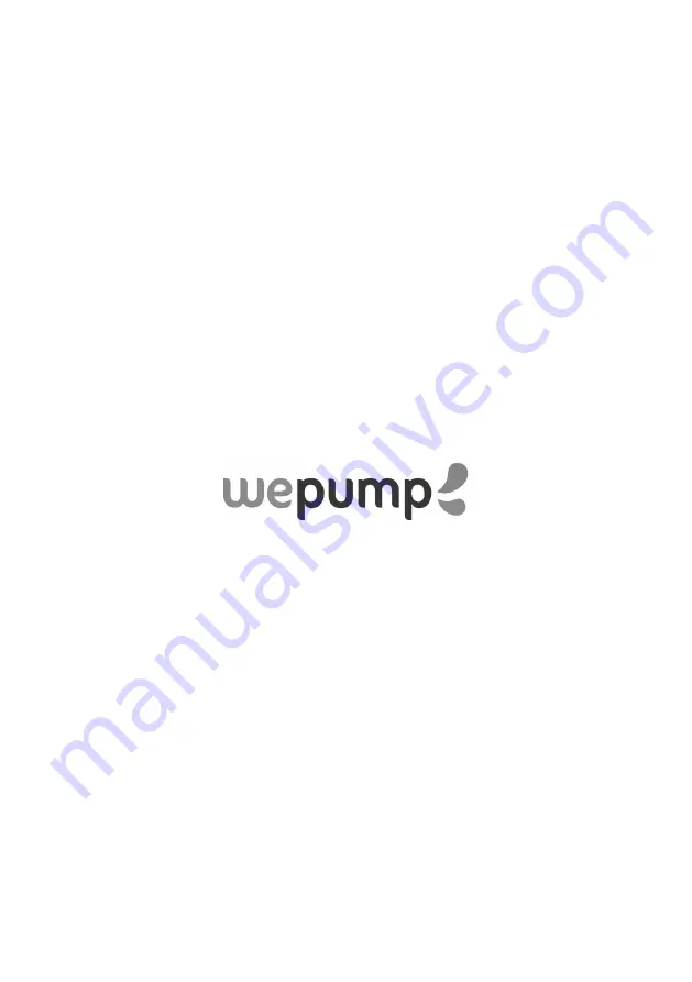 wepump 438802 Translation Of The Original Instructions Download Page 32