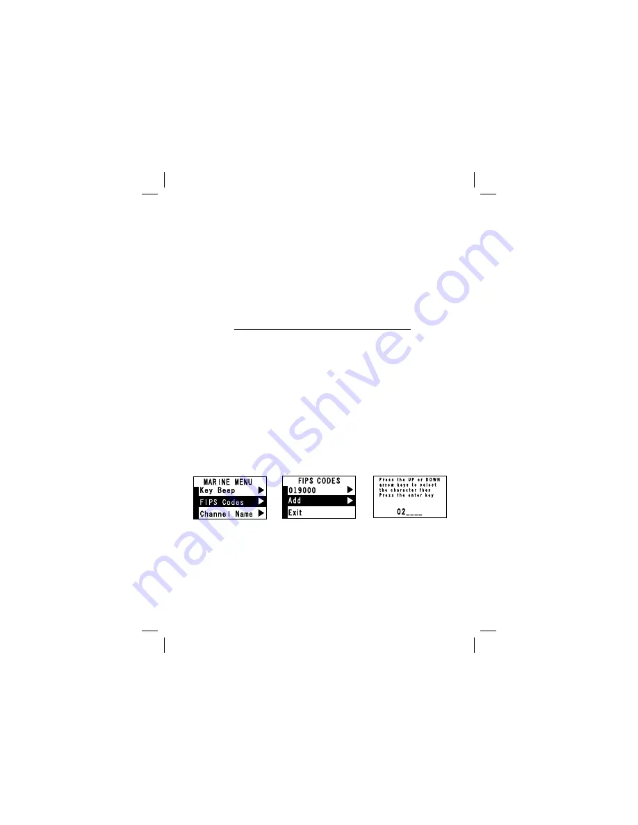 West Marine VHF 250 Owner'S Manual Download Page 39