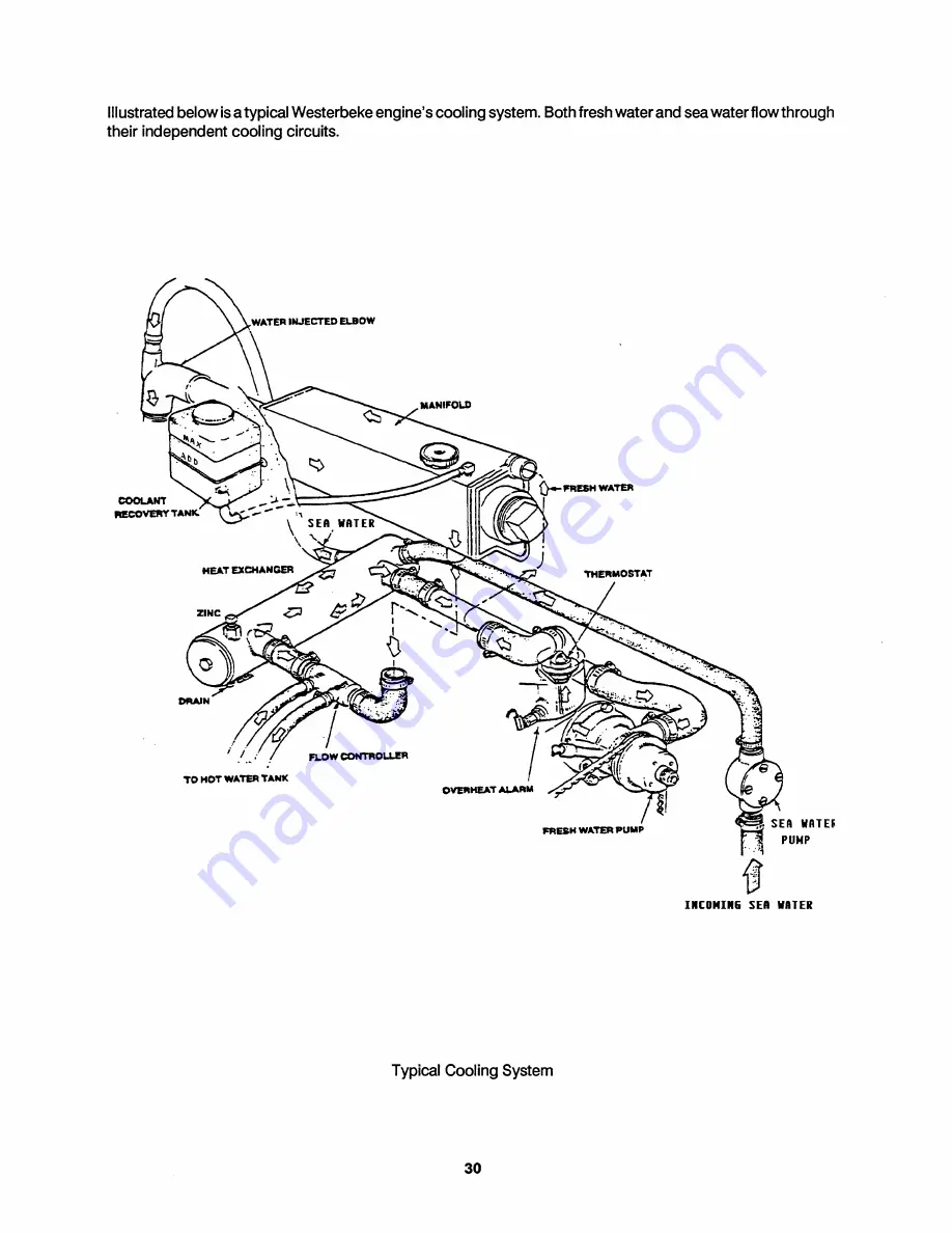 Westerbeke 12.0BTD50-HERTz Operator'S Manual Download Page 35