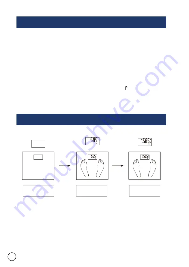 Westinghouse WHPS01SK Скачать руководство пользователя страница 6