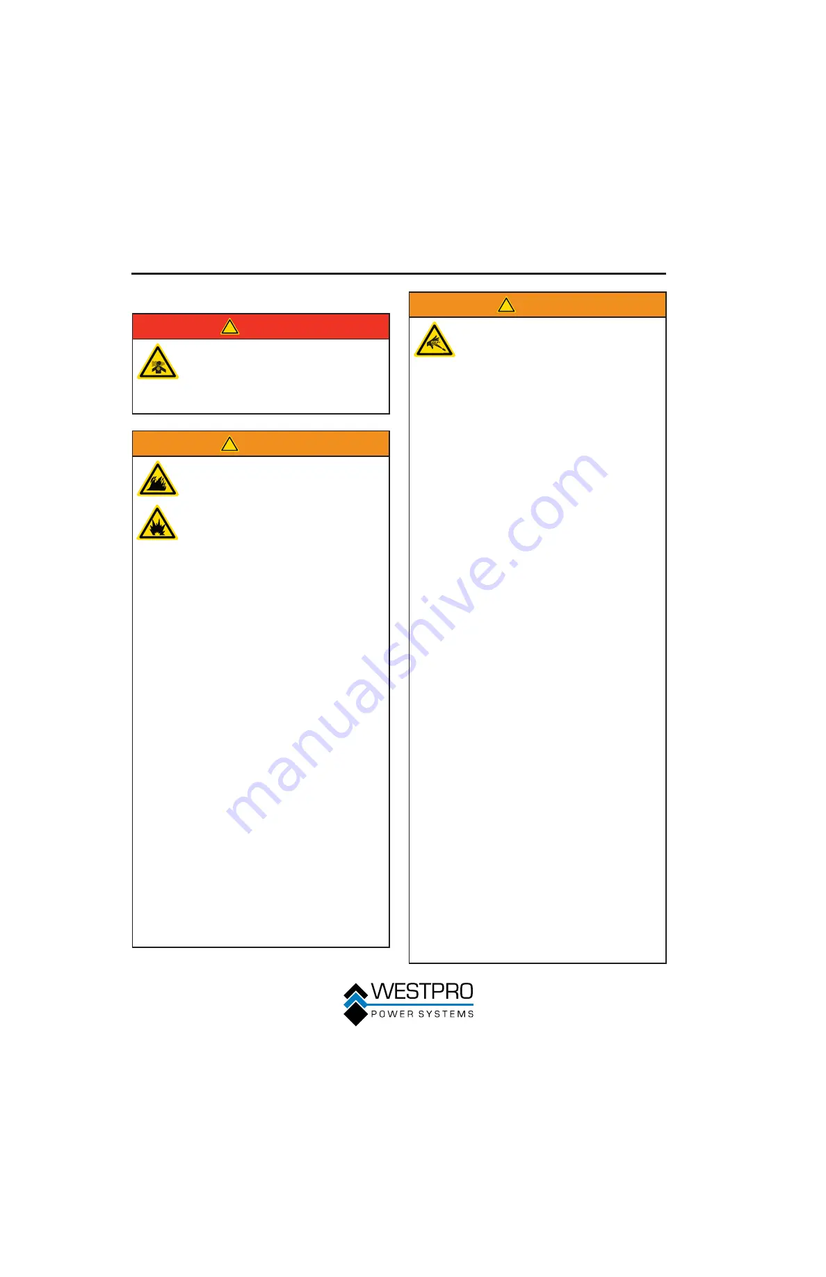 Westinghouse WP2300 Скачать руководство пользователя страница 8