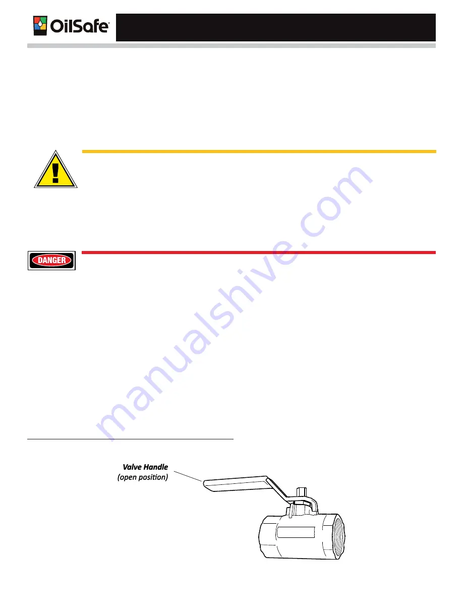 Whitmore OilSafe Advanced Bulk System Owner'S Manual Download Page 24