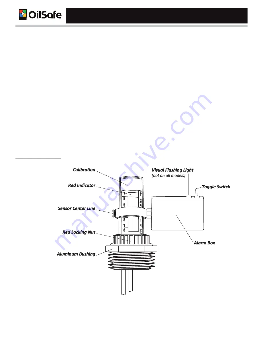 Whitmore OilSafe Advanced Bulk System Owner'S Manual Download Page 32