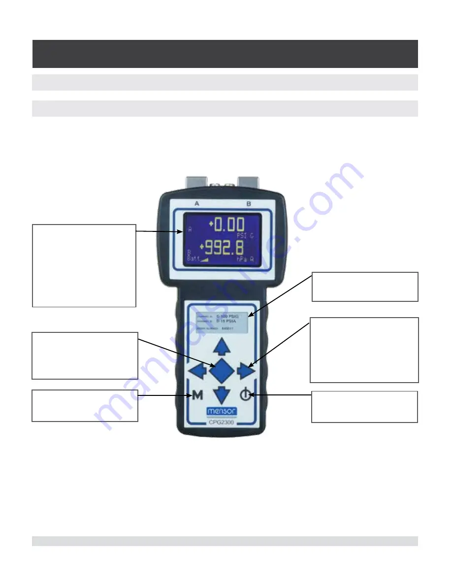 WIKA CPG2300 Series Скачать руководство пользователя страница 17