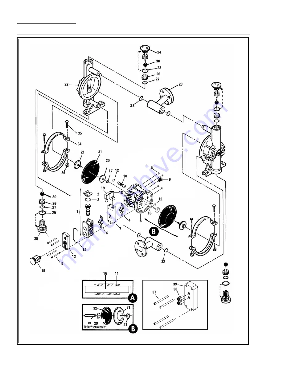 Wilden A2 B Original Plastic Manual Download Page 20