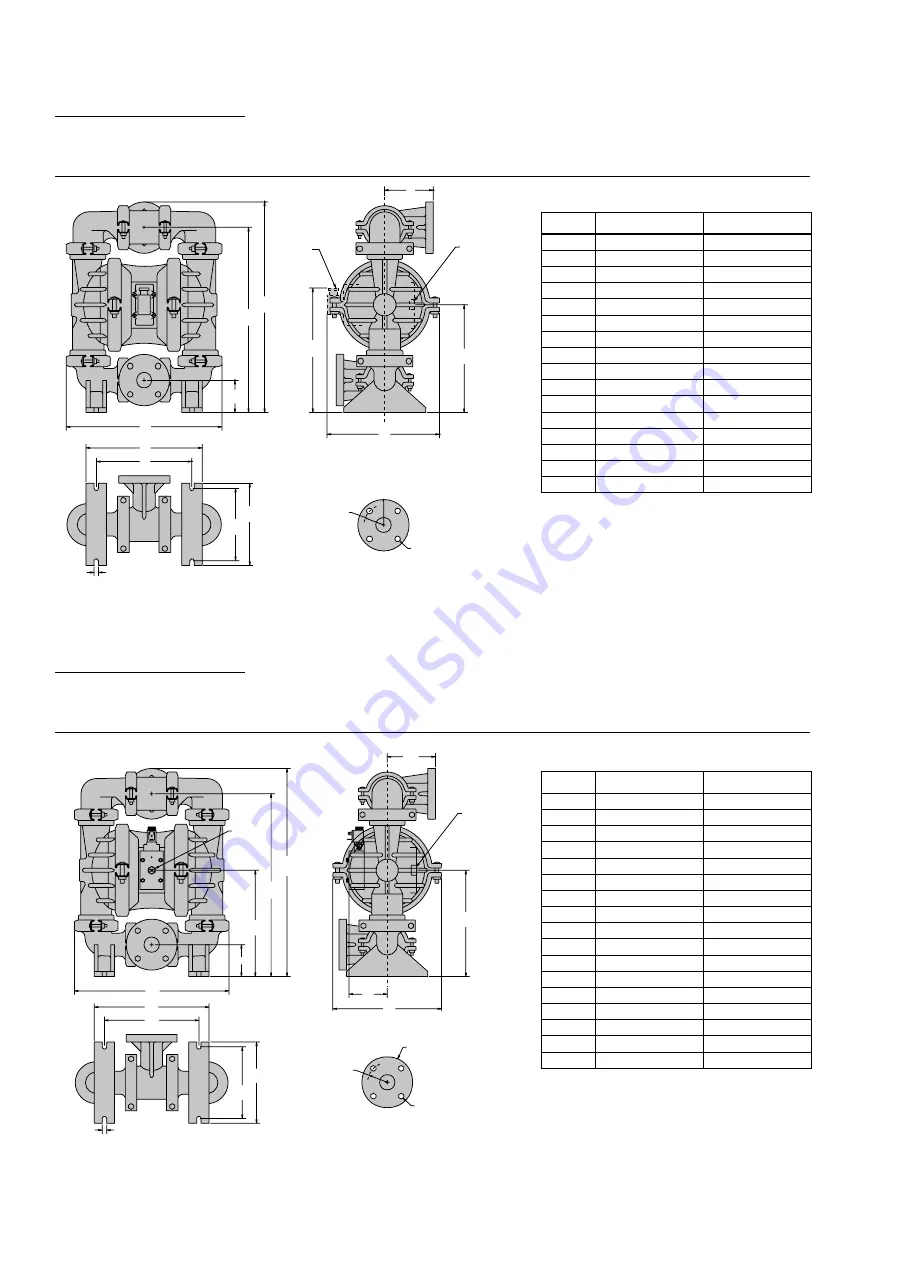 Wilden Accu-Flo A4 Engineering, Operation & Maintenance Download Page 6