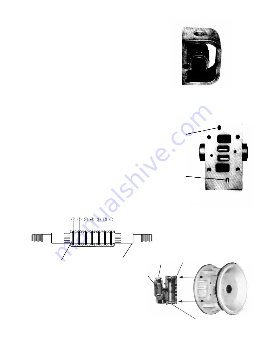 Wilden Accu-Flo A4 Скачать руководство пользователя страница 21