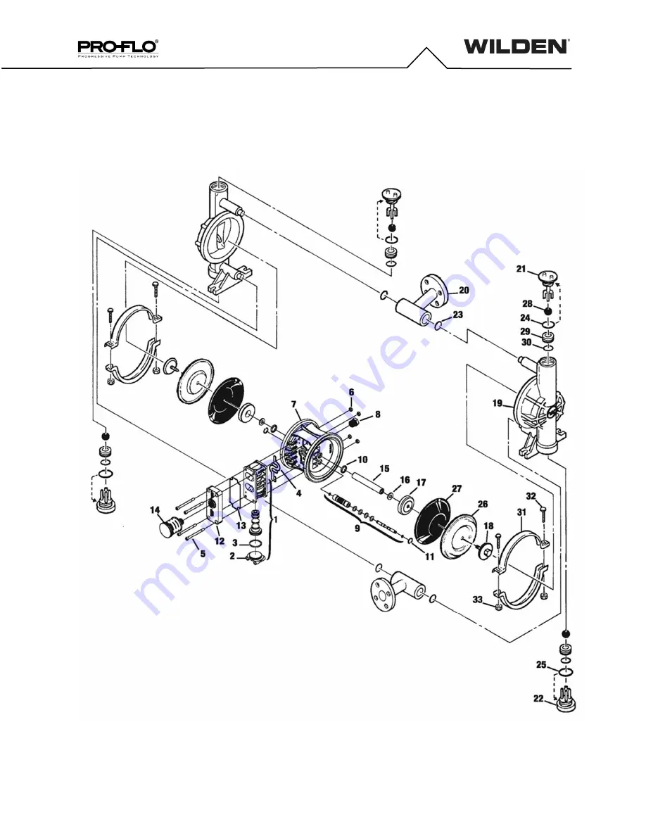 Wilden Pro-Flo P2 Скачать руководство пользователя страница 25