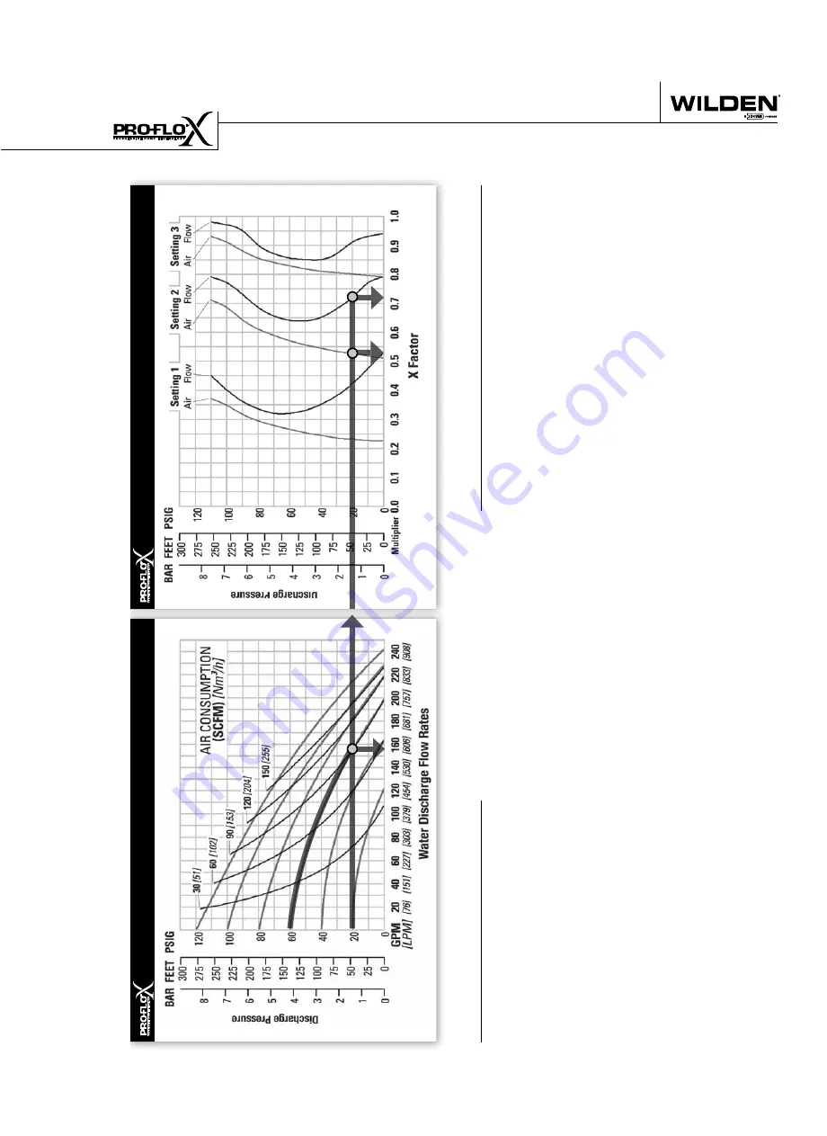 Wilden PX1500 Advanced Series Engineering, Operation & Maintenance Download Page 19