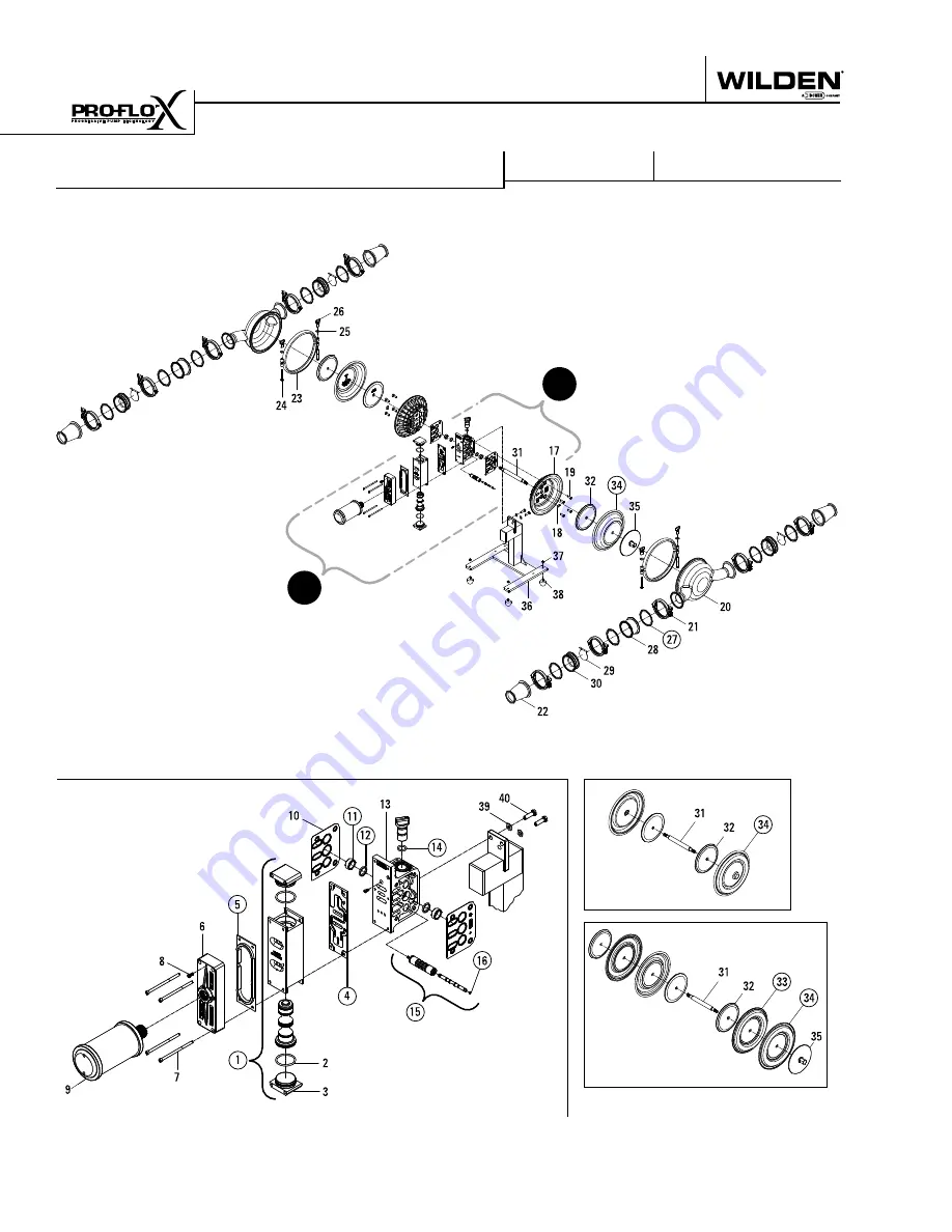 Wilden SANFLO PX15 Скачать руководство пользователя страница 46