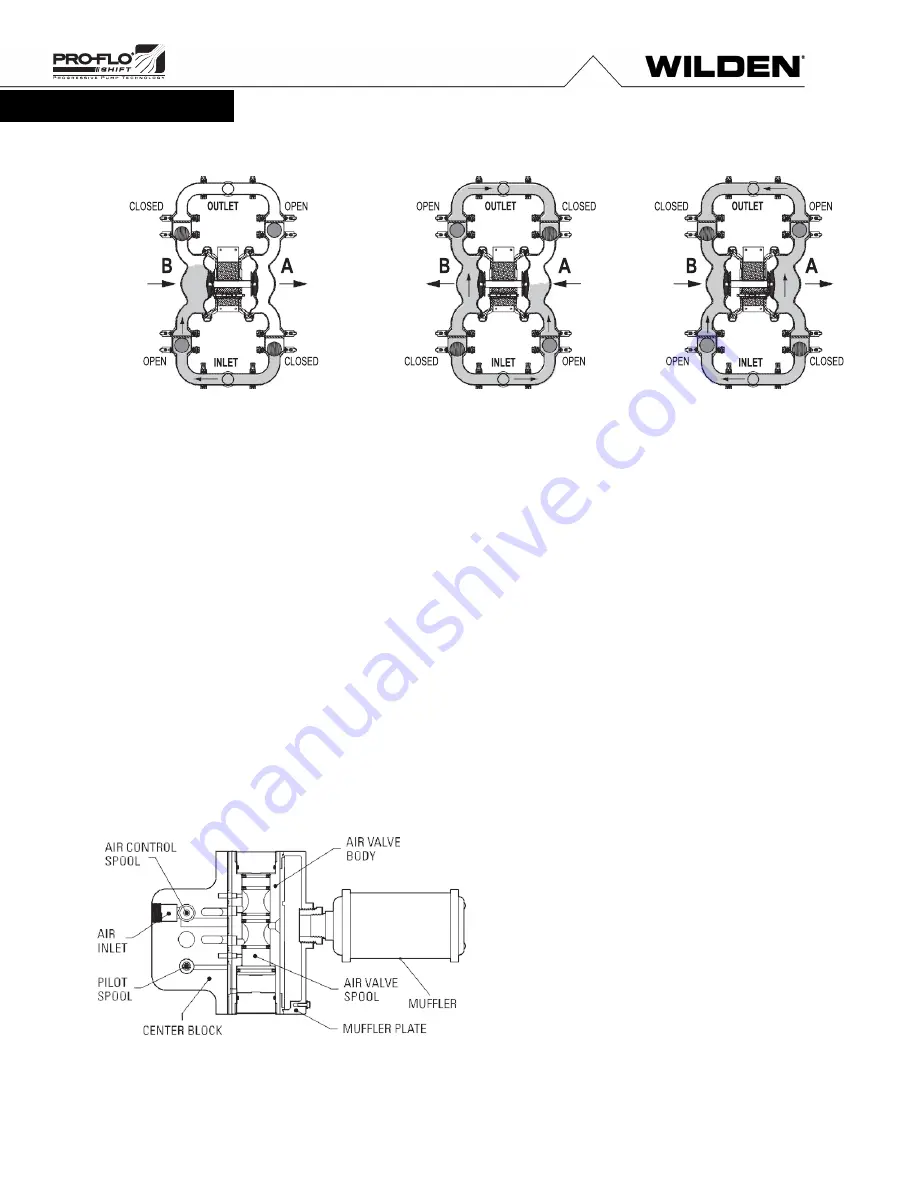 Wilden Saniflo PS4 Hygienic Series Engineering, Operation & Maintenance Download Page 6