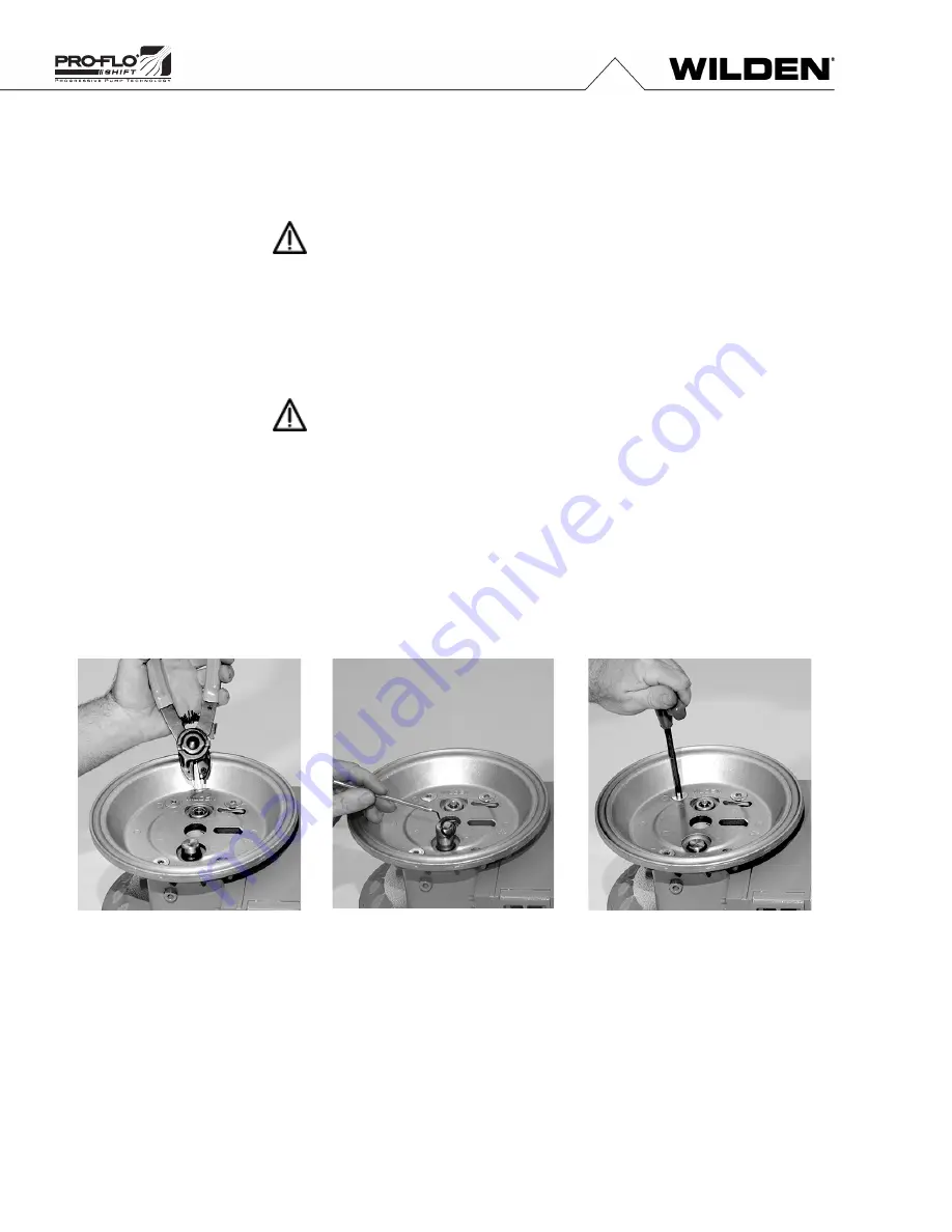 Wilden Saniflo PS4 Hygienic Series Engineering, Operation & Maintenance Download Page 20