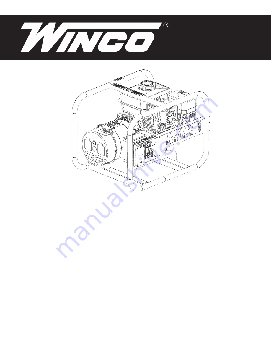 Winco DP3000/T Скачать руководство пользователя страница 1