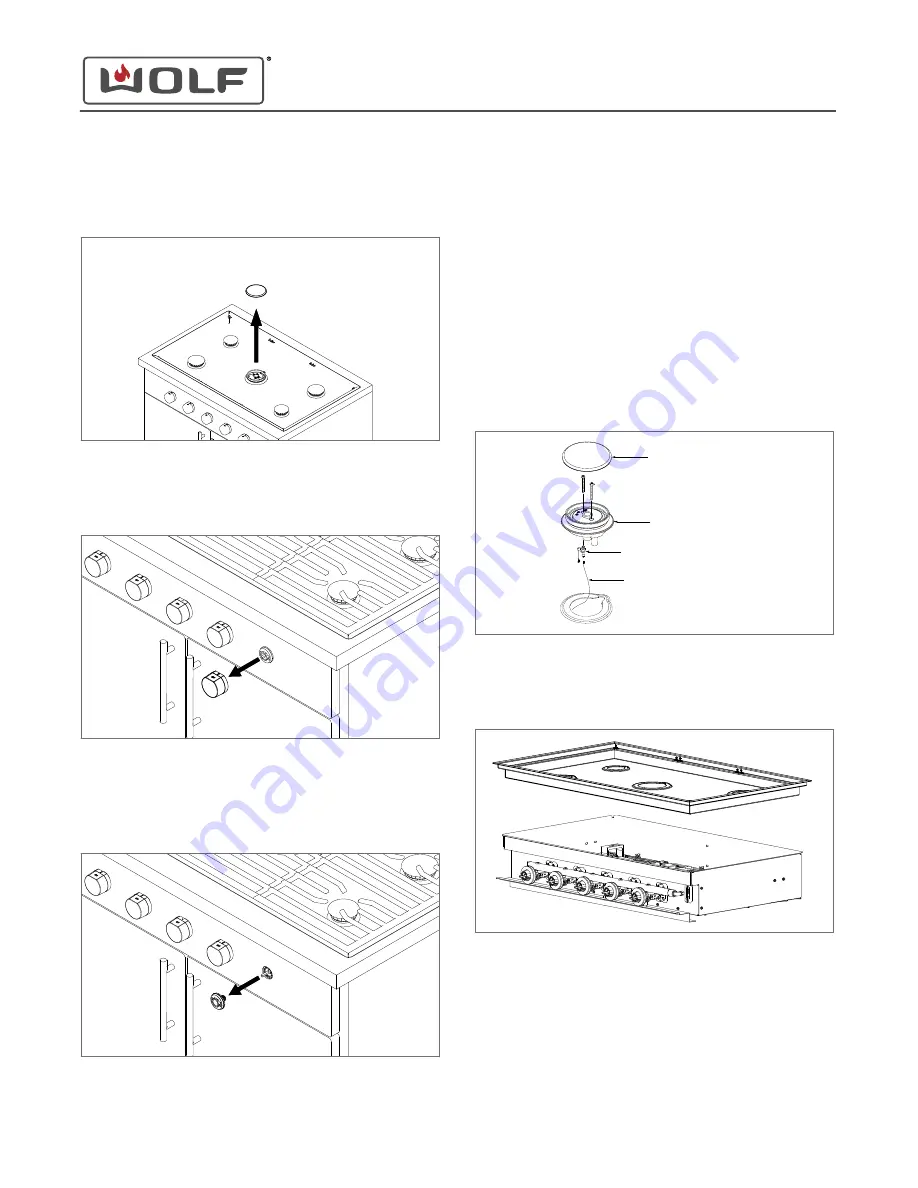 Wolf CG365P/S Manual Download Page 13