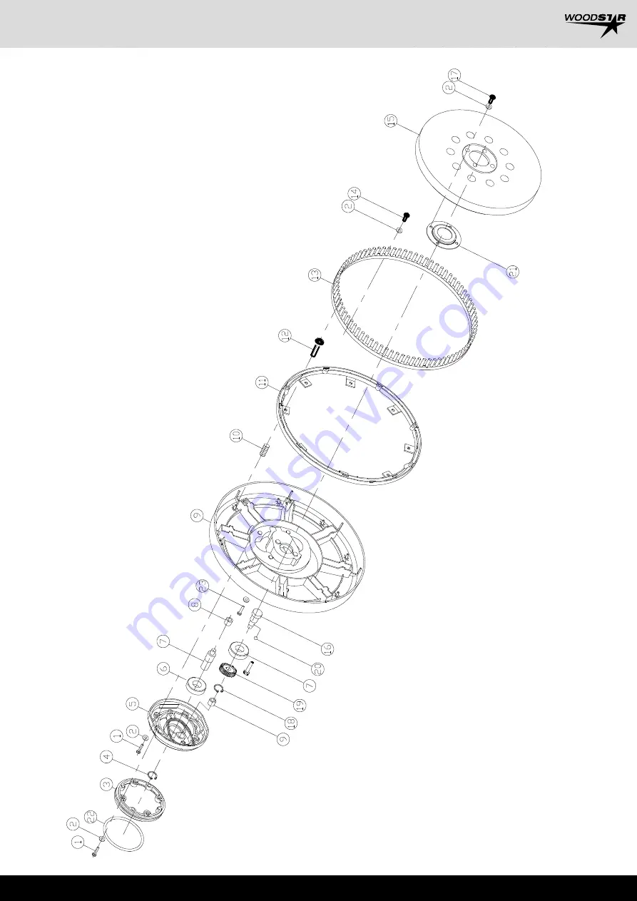 Woodstar DWS10 Скачать руководство пользователя страница 37