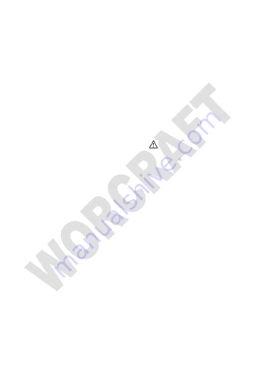 Worcraft PROFESSIONAL CAG-S20LiB-125 Скачать руководство пользователя страница 58