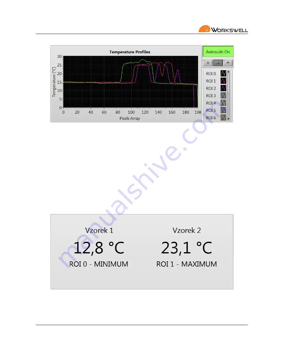 WORKSWELL THERMOINSPECTOR Скачать руководство пользователя страница 9