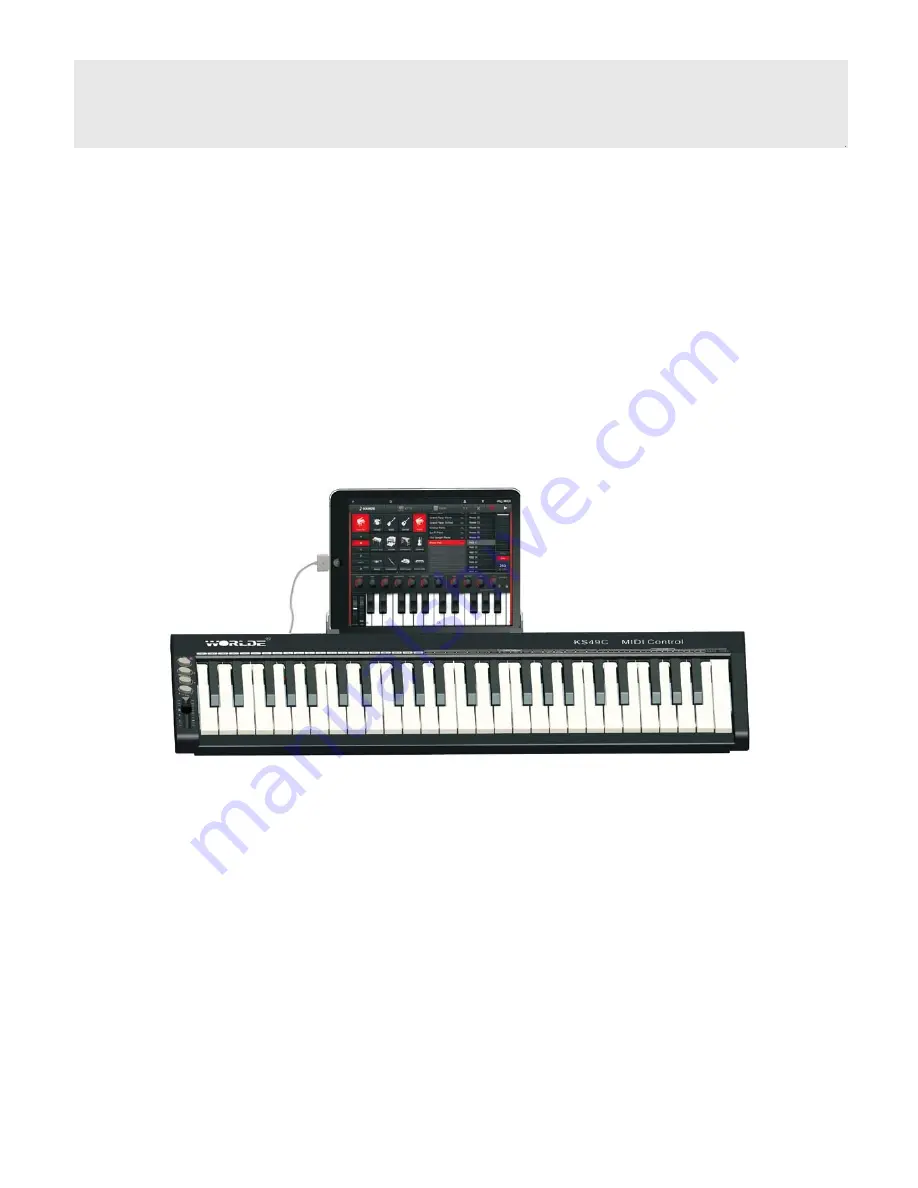 Worlde Digital Piano KS49C Скачать руководство пользователя страница 1