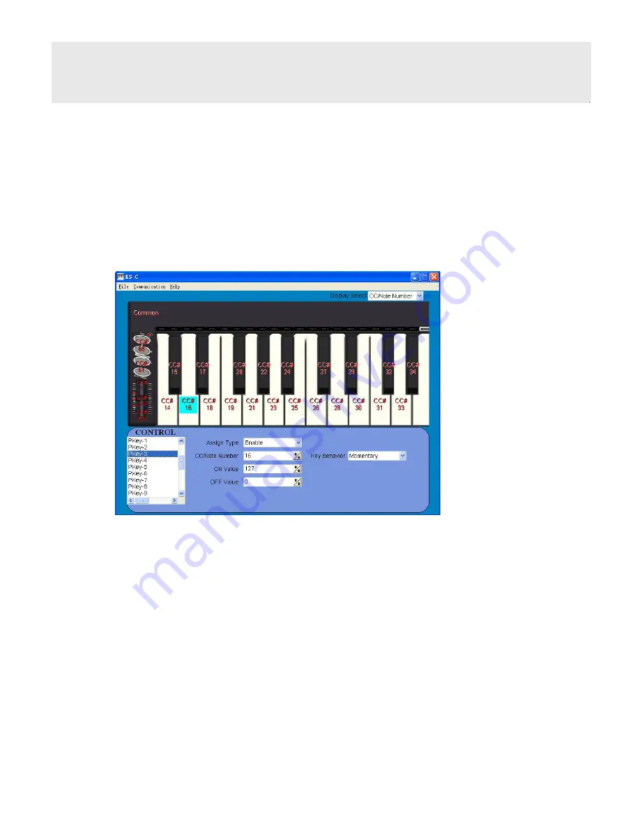 Worlde Digital Piano KS49C Скачать руководство пользователя страница 12