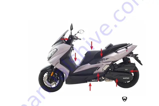 Wottan motor STORM-S 300cc Скачать руководство пользователя страница 19