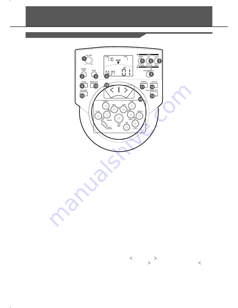 XDrum DD-516 E-Drum Скачать руководство пользователя страница 4