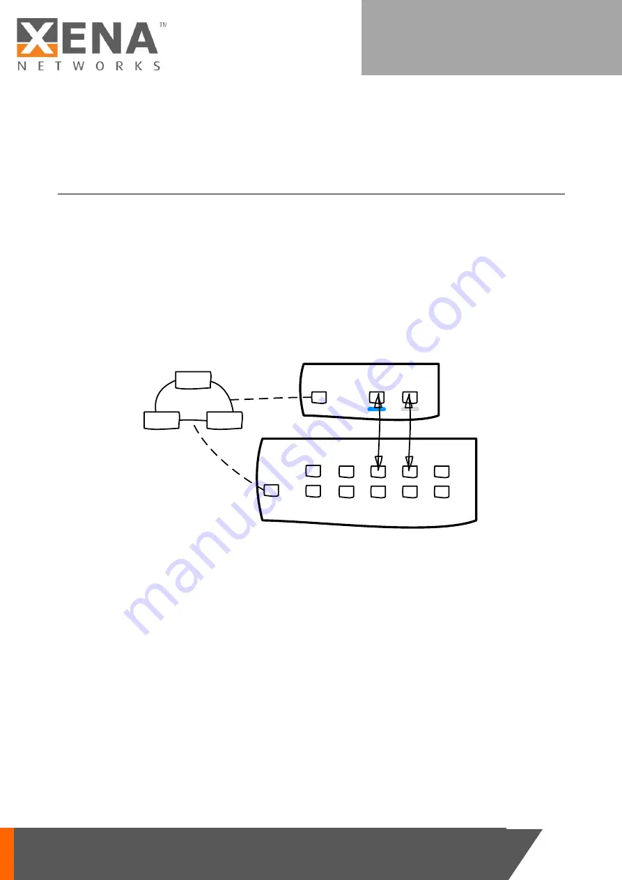 Xena Networks SafireManager User Manual Download Page 9