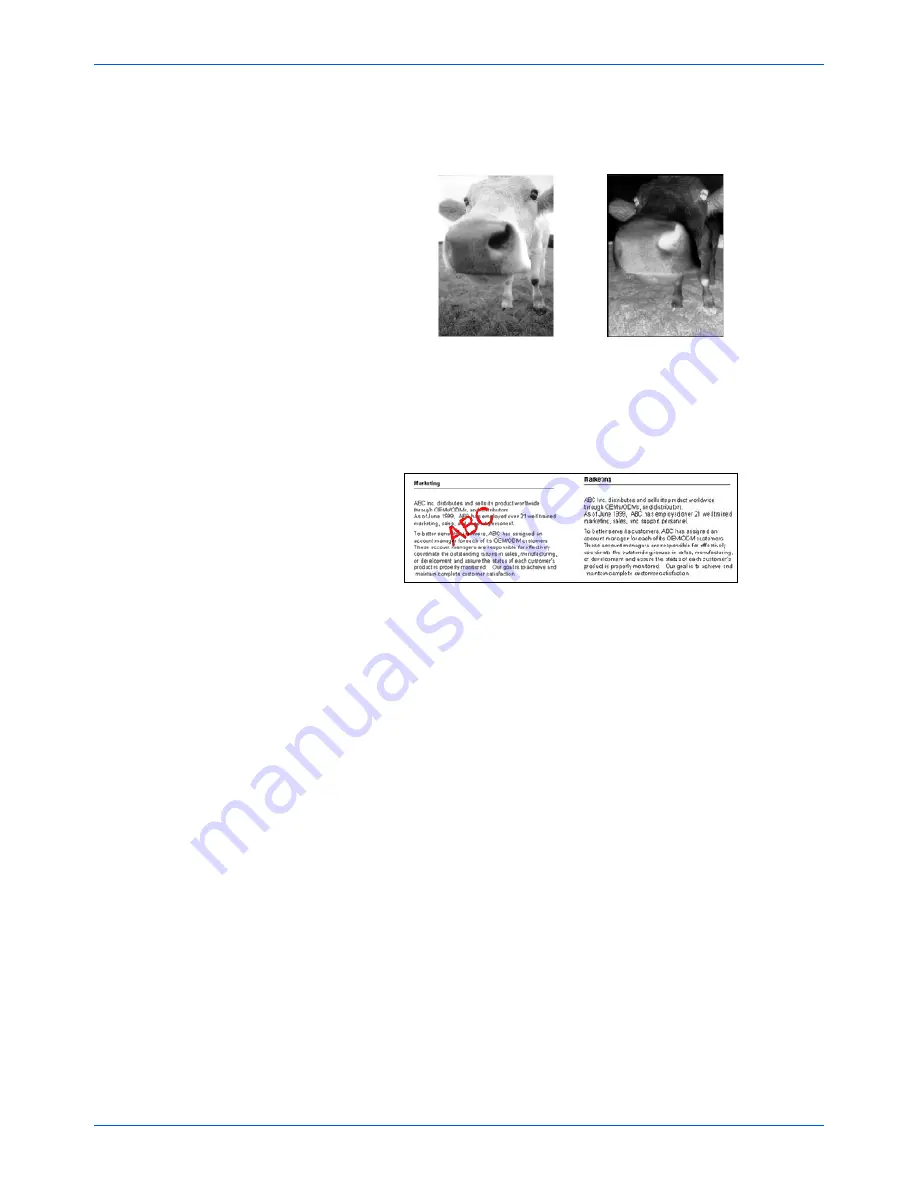 Xerox 90-8010-200 - DocuMate 250 User Manual Download Page 35