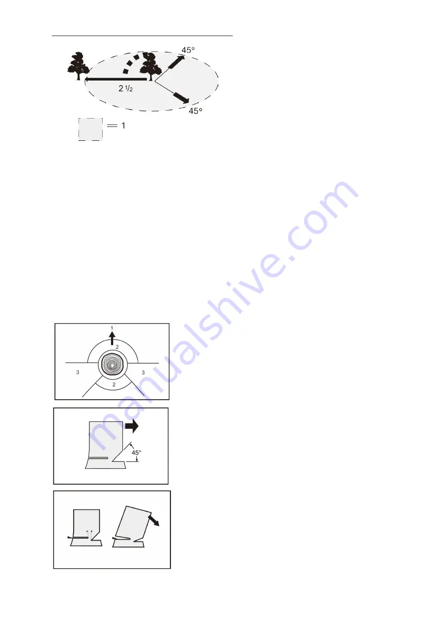 XTline XT102870 User Manual Download Page 39