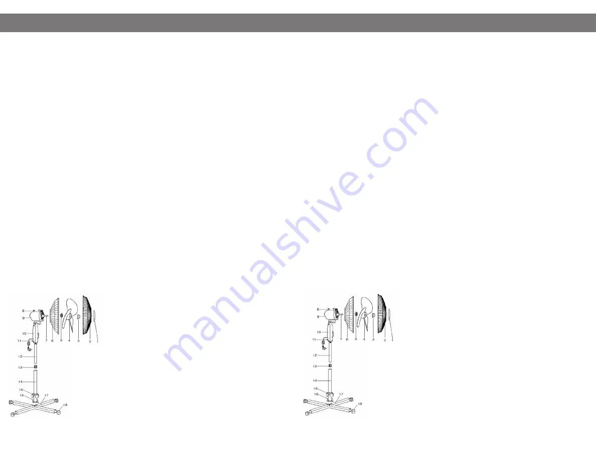 Xtricity 4-80321 Instructions Download Page 2