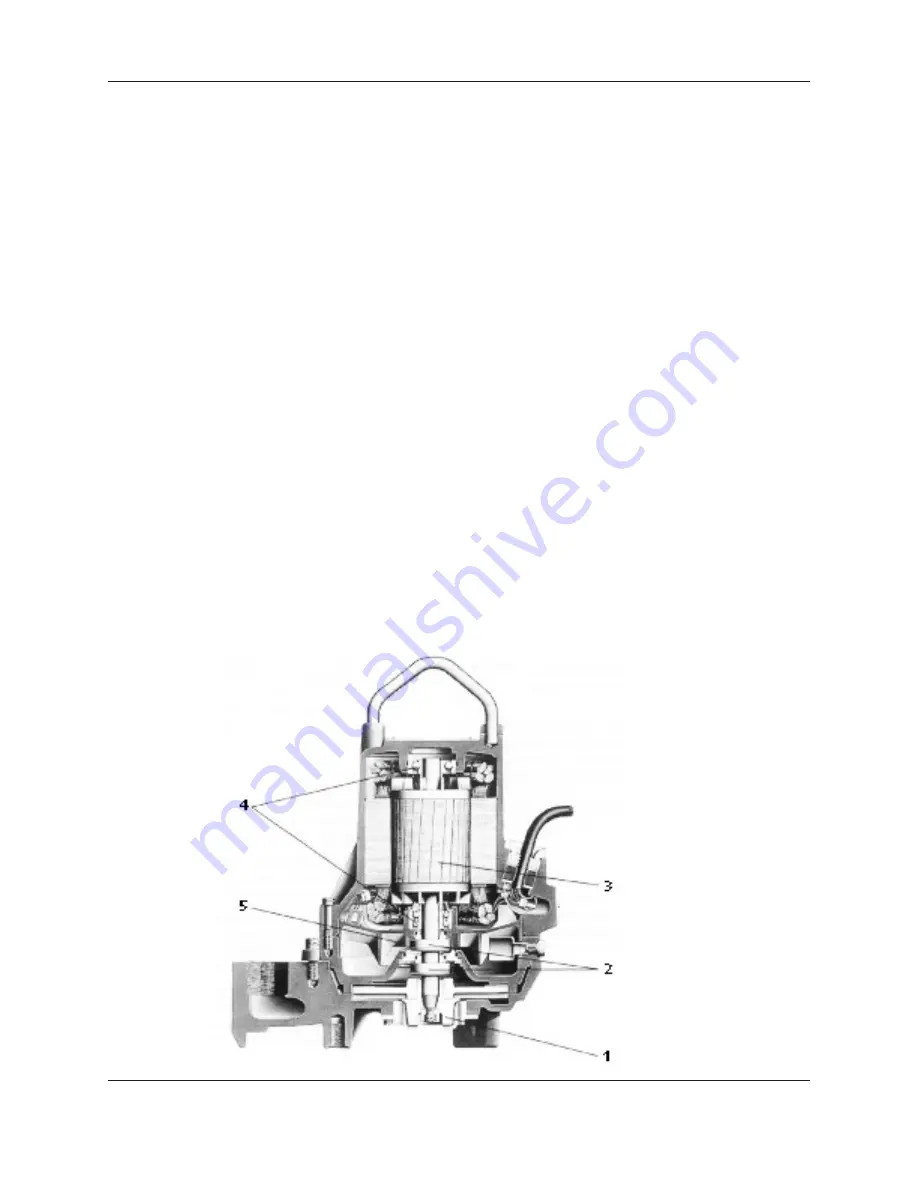 Xylem Bell & Gossett 15GDS Скачать руководство пользователя страница 11