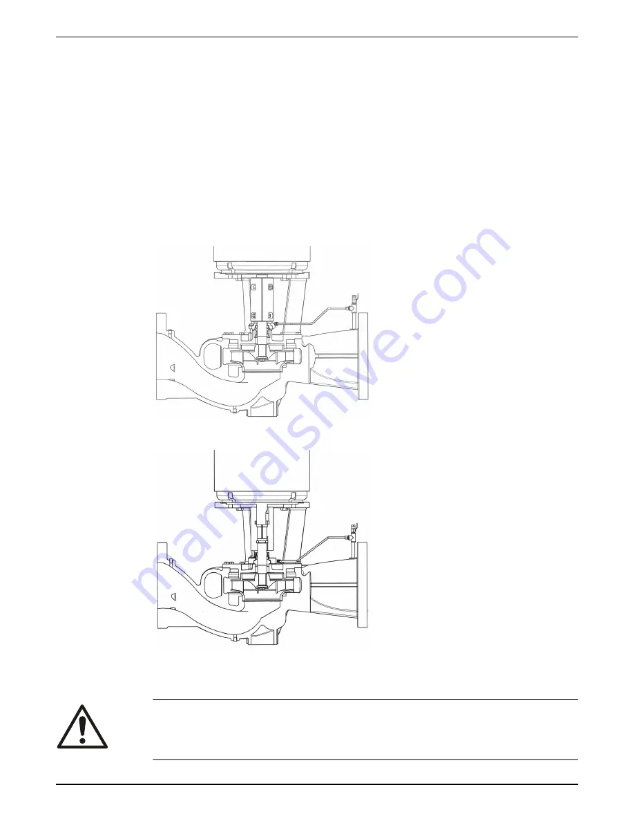 Xylem Bell & Gossett e-80SC Series Скачать руководство пользователя страница 10