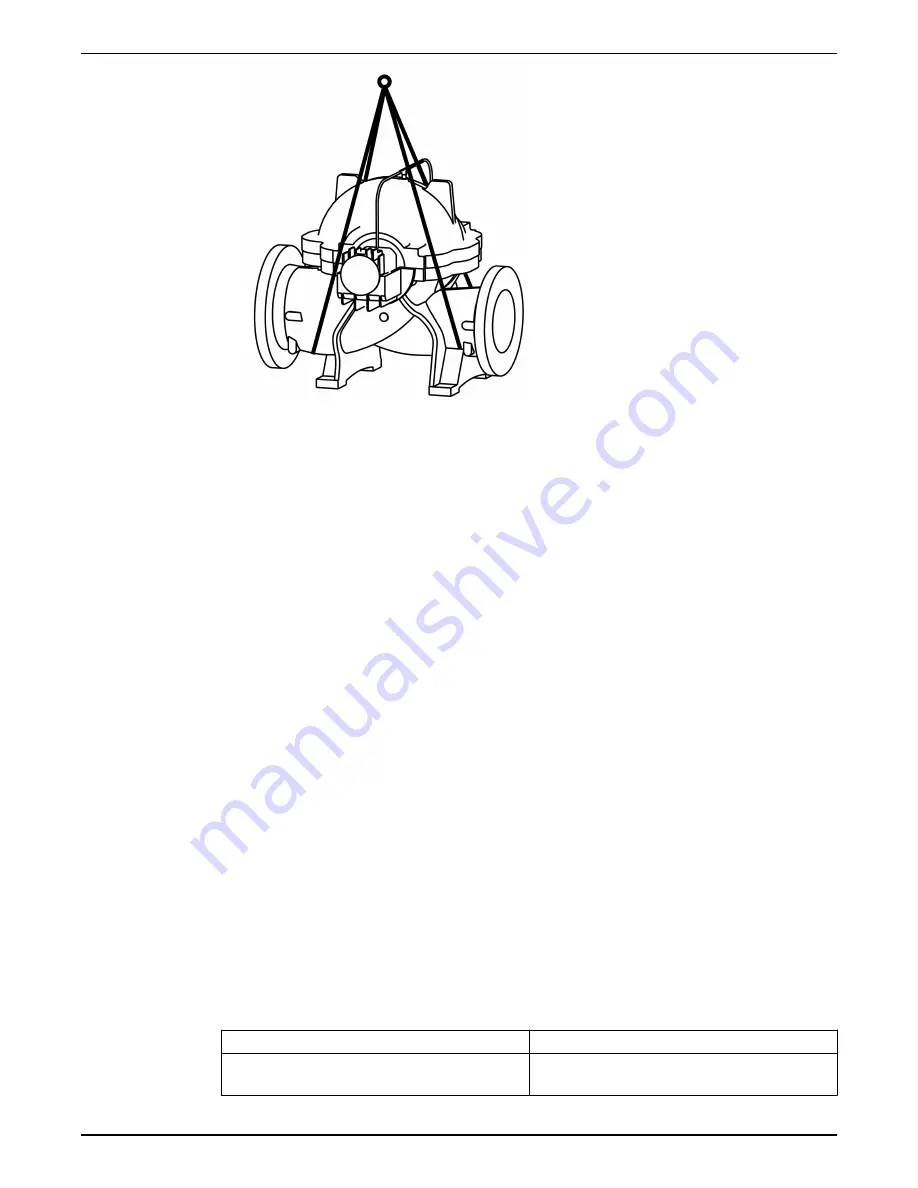 Xylem e-XC Instruction Manual Download Page 10