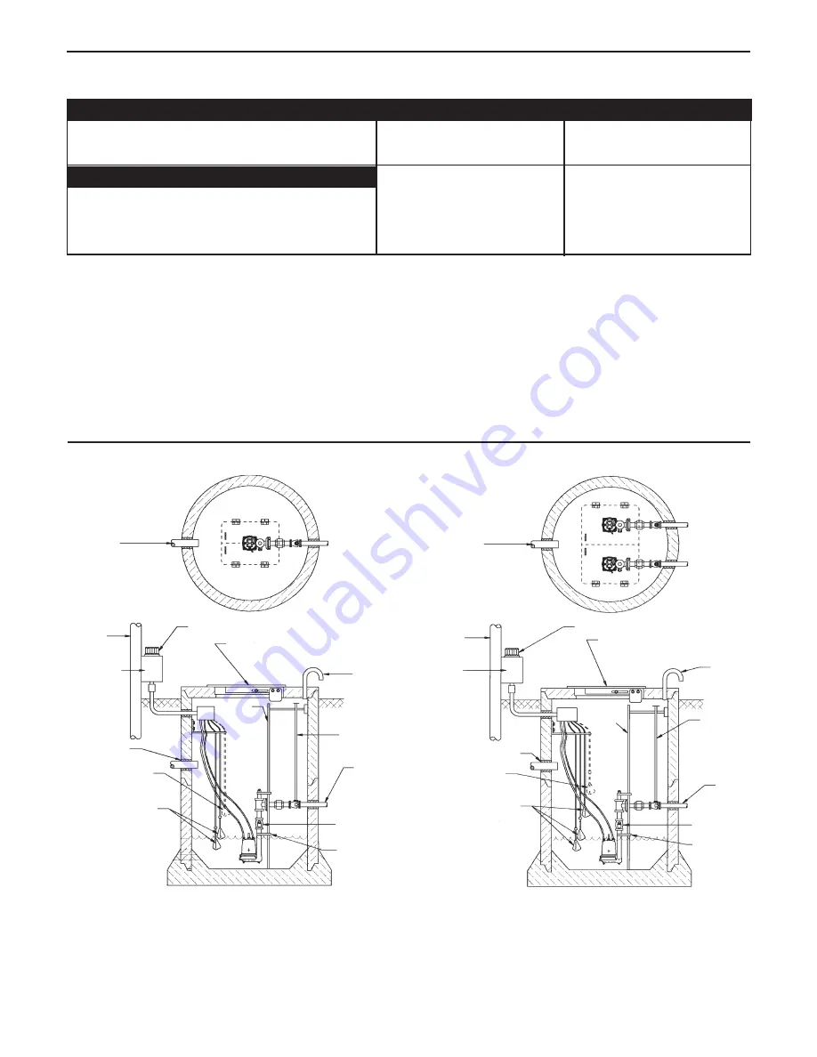 Xylem GOULDS RGS Series Installation, Operation And Maintenance Instructions Download Page 8