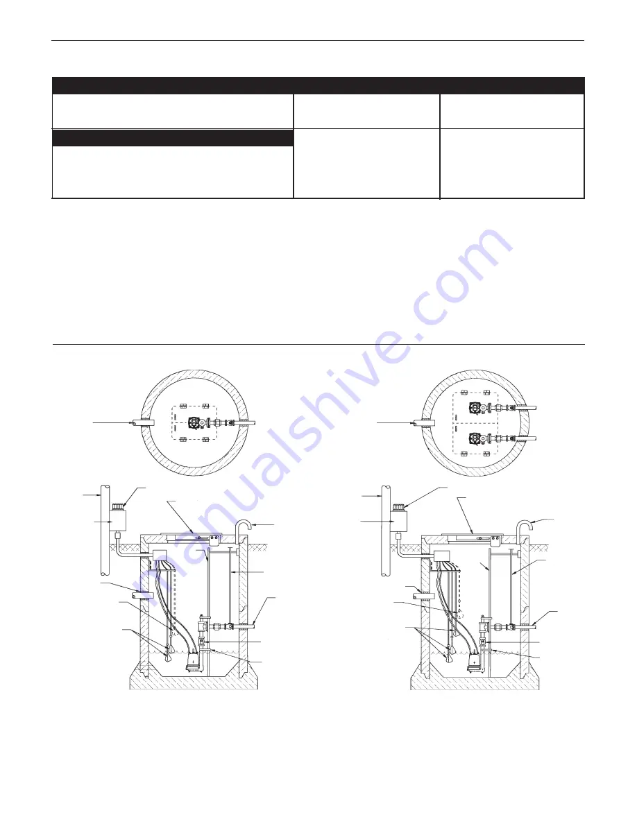 Xylem GOULDS RGS Series Installation, Operation And Maintenance Instructions Download Page 21