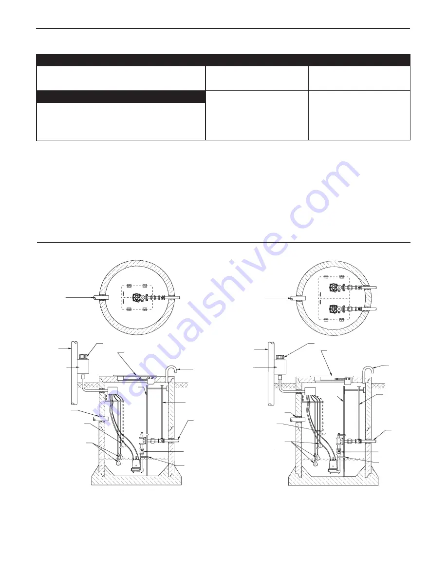 Xylem GOULDS RGS Series Скачать руководство пользователя страница 33