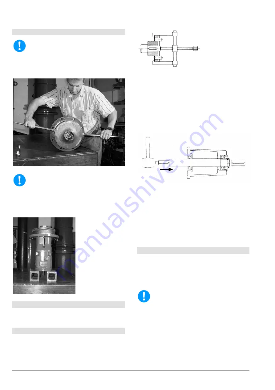 Xylem Lowara LS Series Скачать руководство пользователя страница 20