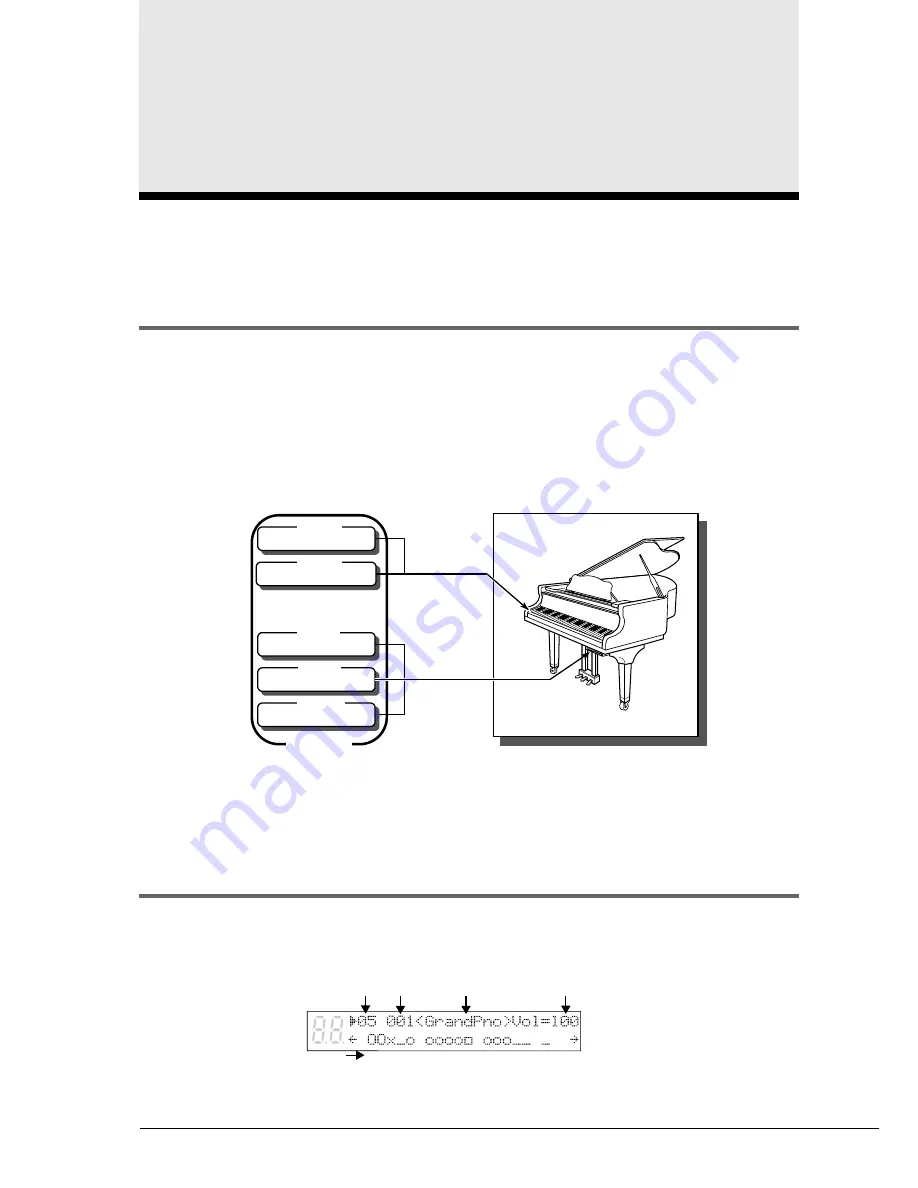 Yamaha DGT7A Advanced Operation Manual Download Page 41