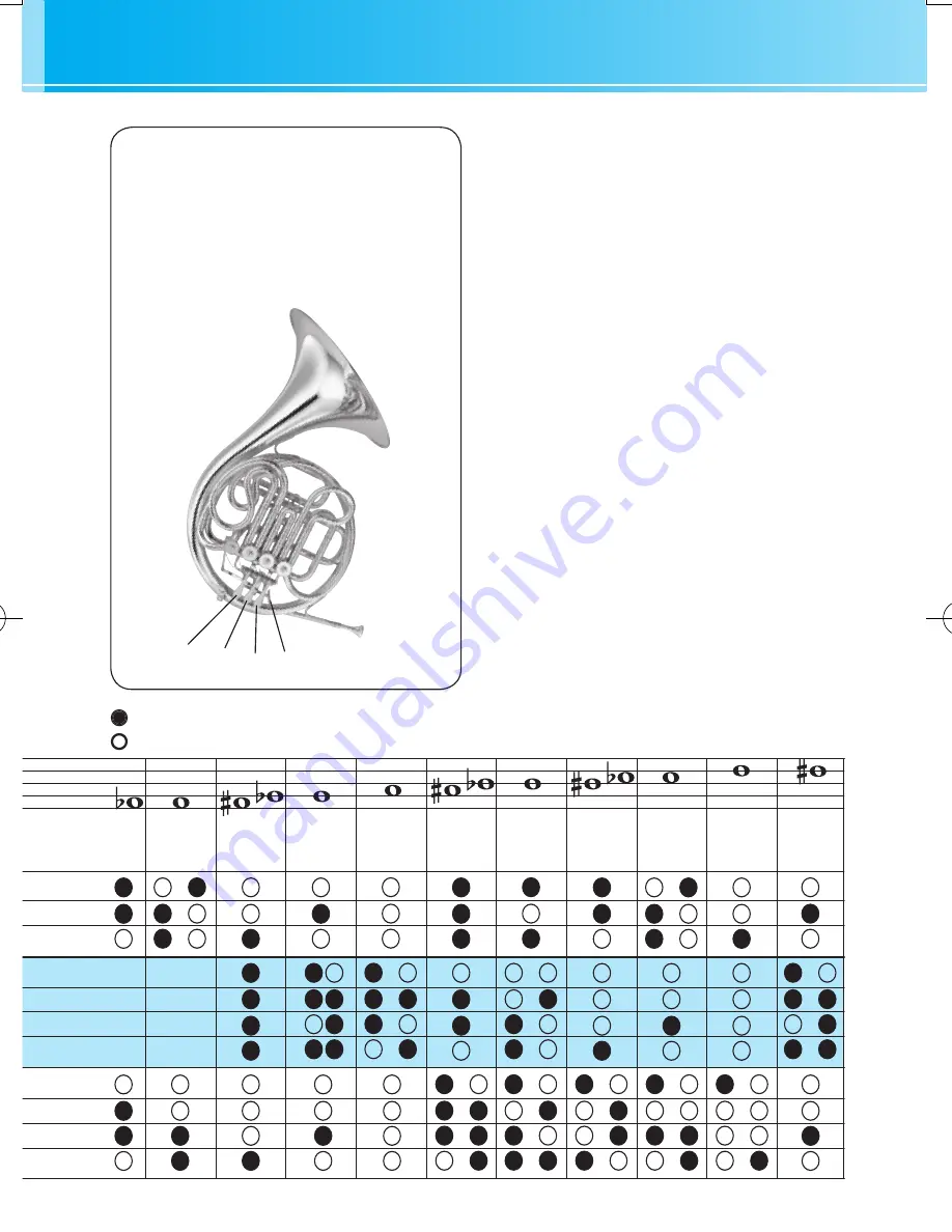 Yamaha Horn 2440630 Bedienungsanleitung Download Page 18