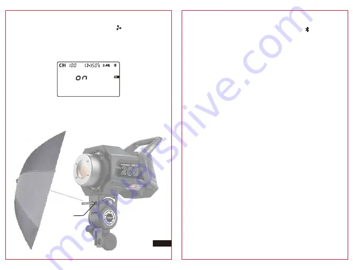 Yongnuo YNRAY200 Скачать руководство пользователя страница 5