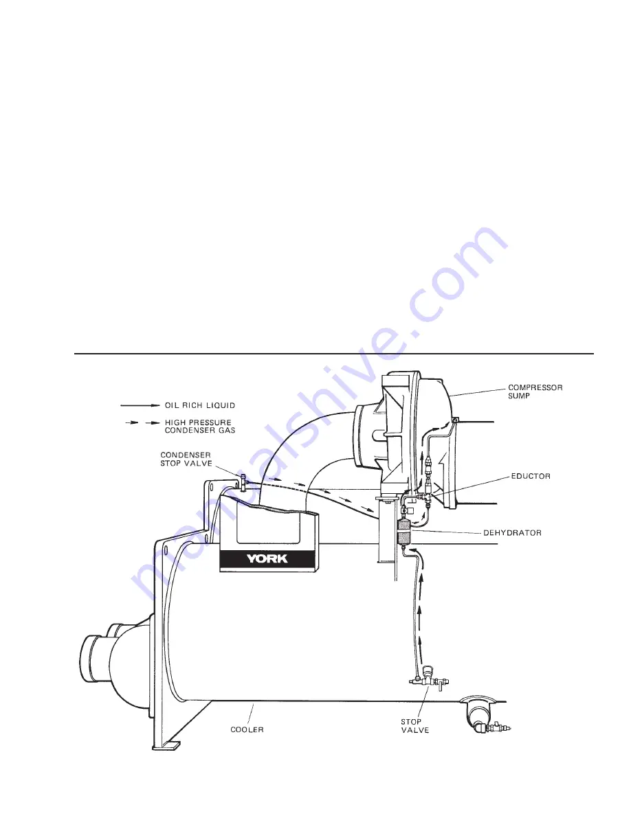 York 371-01200-010 Скачать руководство пользователя страница 43