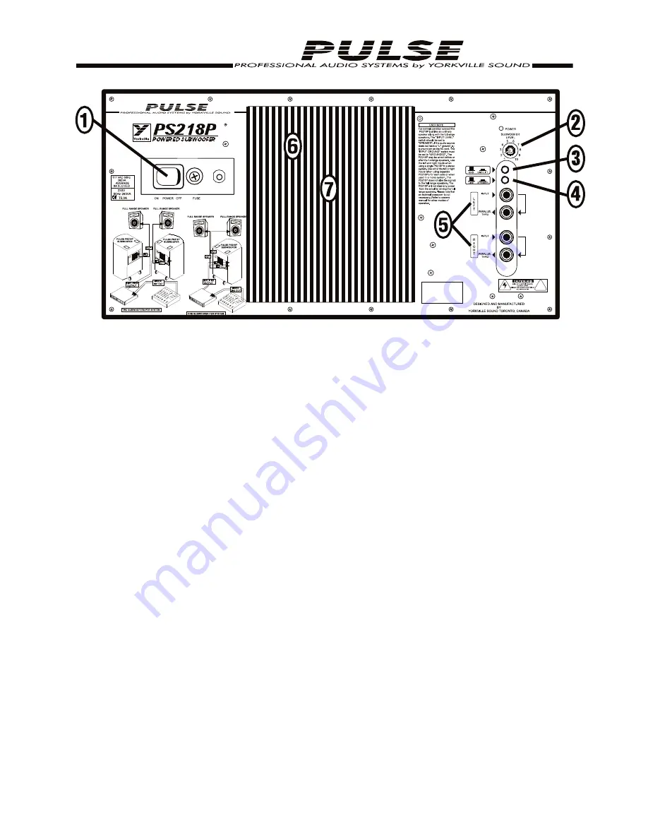 YORKVILLE PULSE PS218P Manual Download Page 3