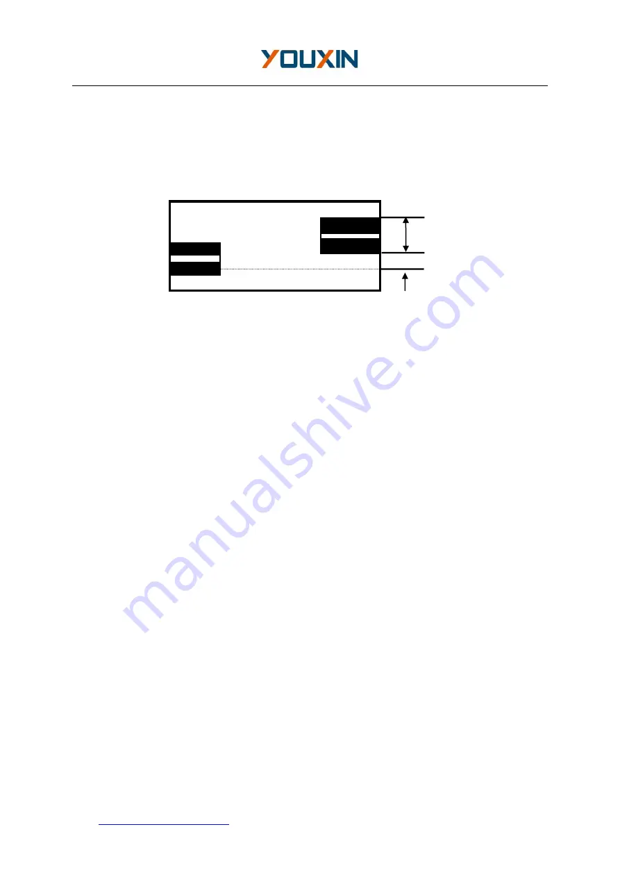 YouXin FSP-100 User Manual Download Page 11