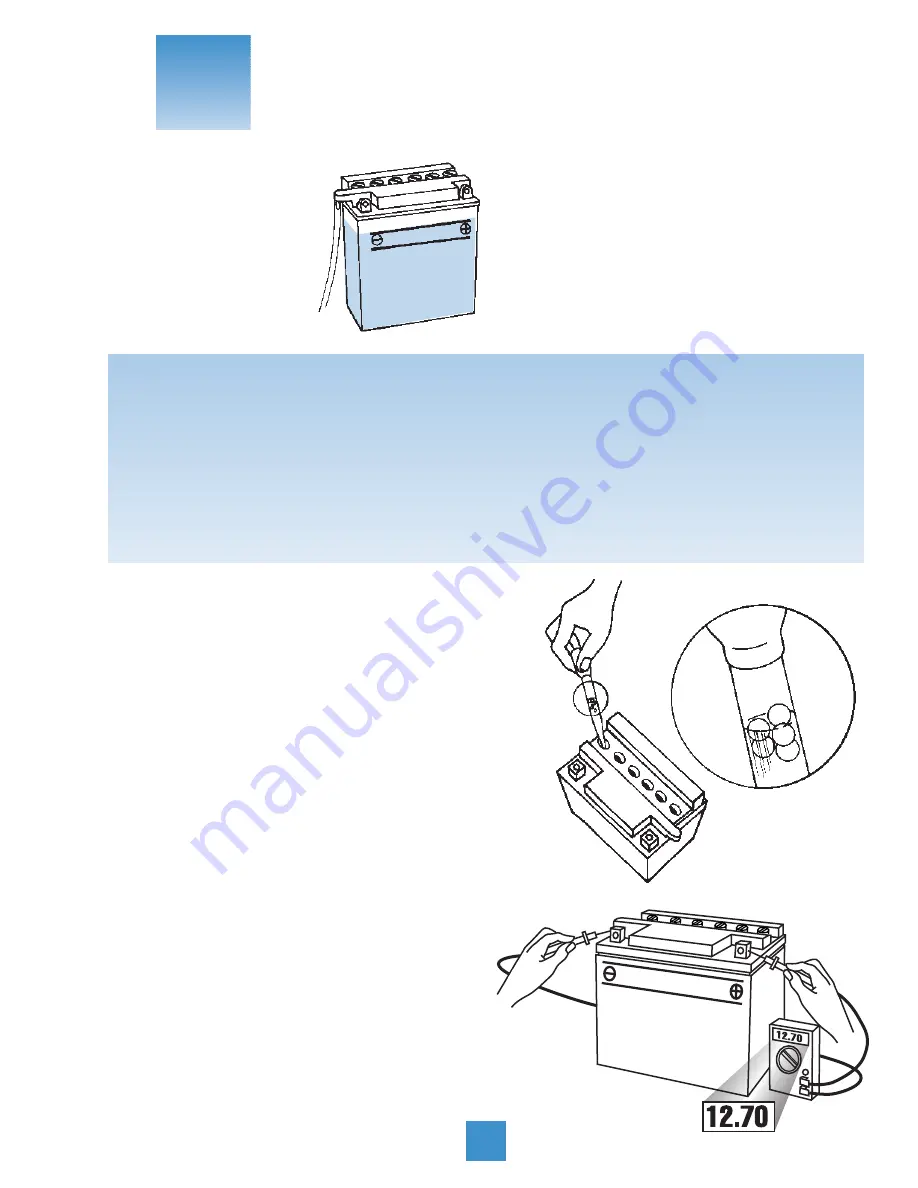 Yuasa SmartShot 900 Automatic 12V 900mA Technical Manual Download Page 19