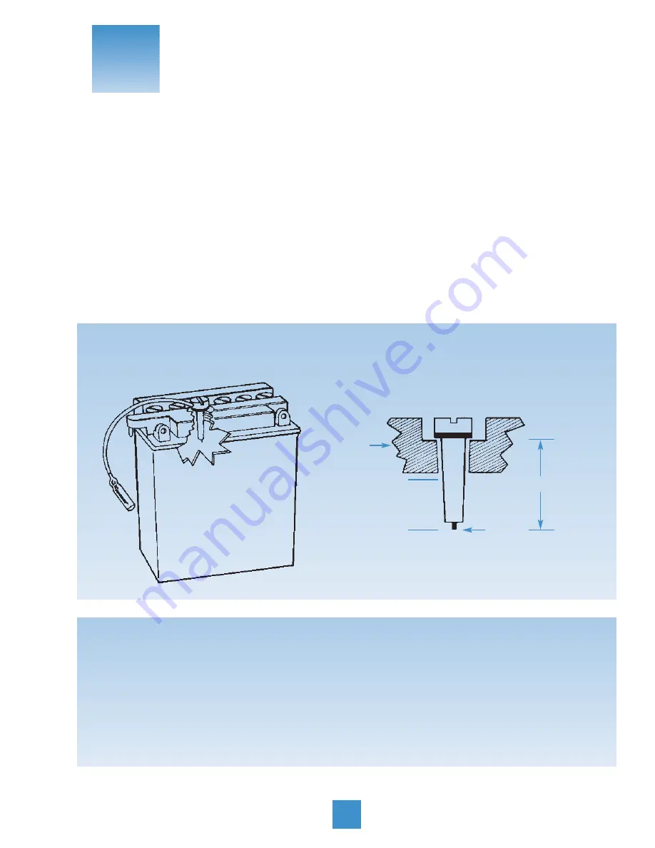 Yuasa SmartShot YUA1200901 Скачать руководство пользователя страница 13