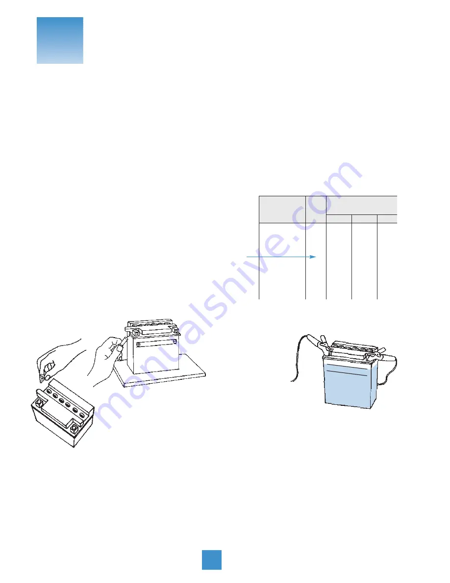 Yuasa SmartShot YUA1201501 Скачать руководство пользователя страница 14