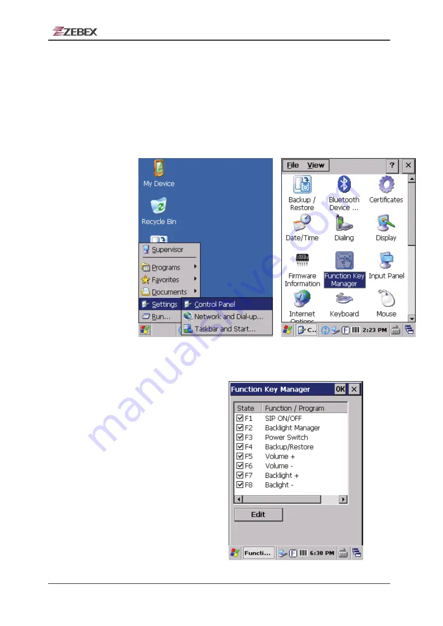 Zebex Z-2170 Plus User Manual Download Page 29